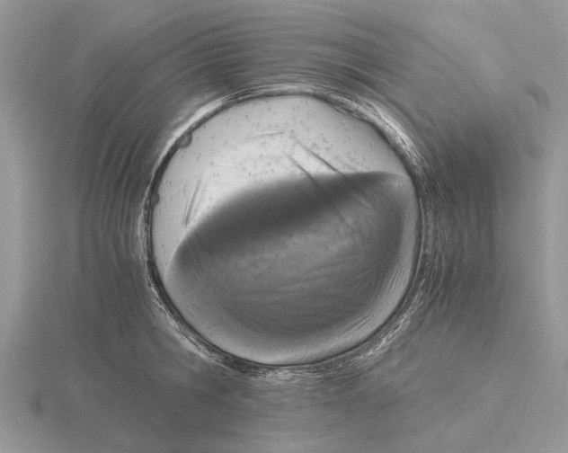 X0000115660806200912101050