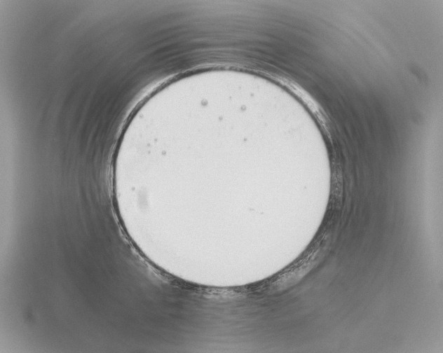 X0000115660807200912101050