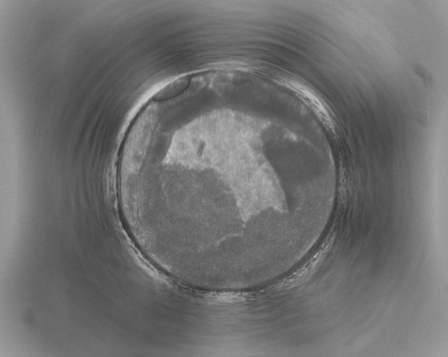 X0000115660808200912101050