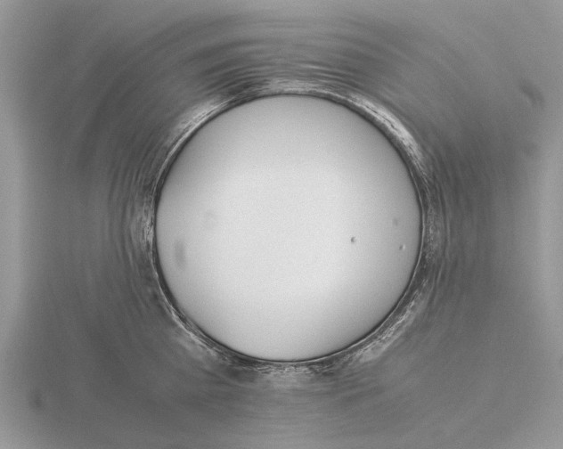 X0000115660809200912101050