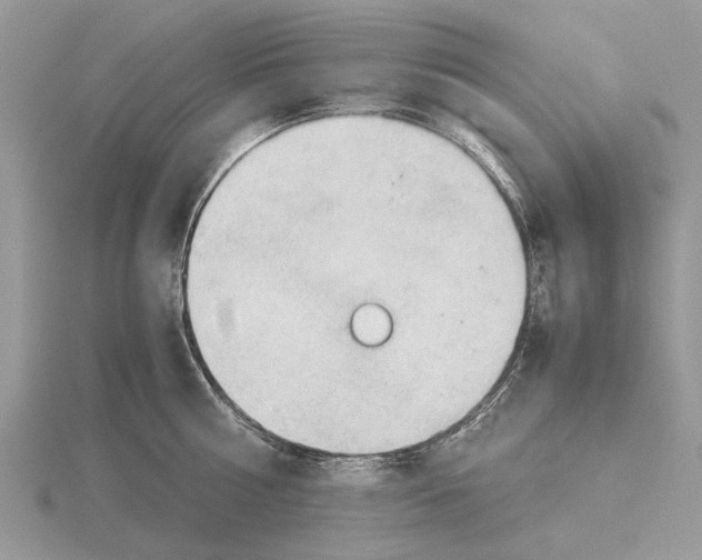 X0000115660810200912101050