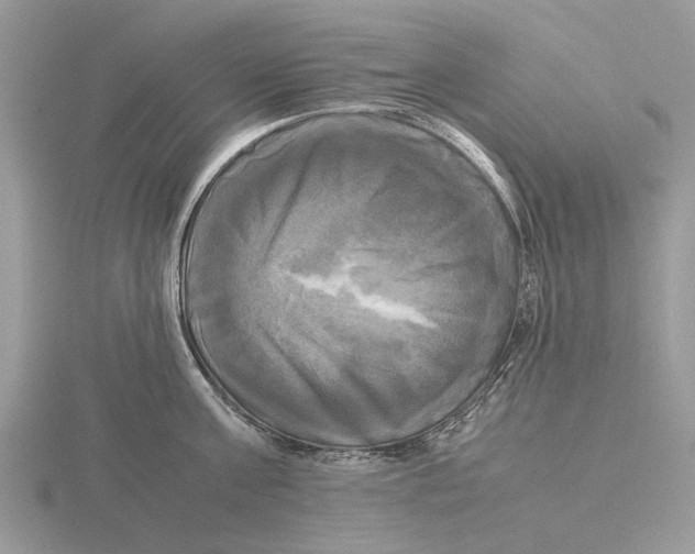 X0000115660811200912101050