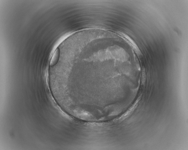 X0000115660812200912101050