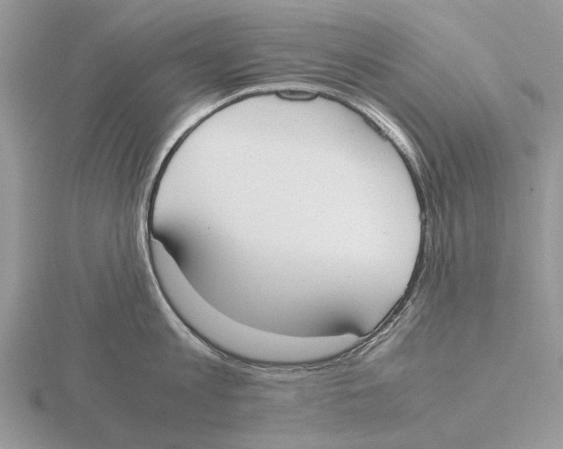 X0000115660813200912101050