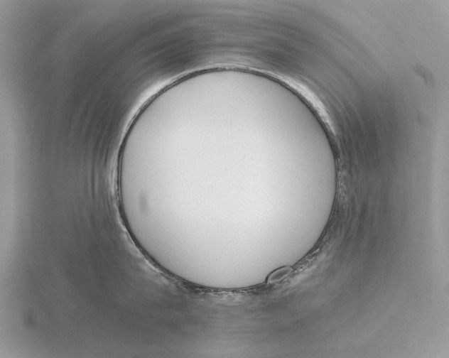 X0000115660815200912101050