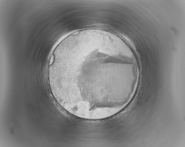 X0000115660816200912101050