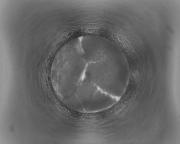 X0000115660817200912101049