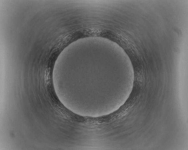 X0000115660818200912101049