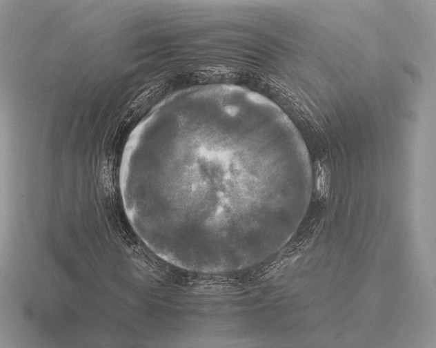 X0000115660819200912101050