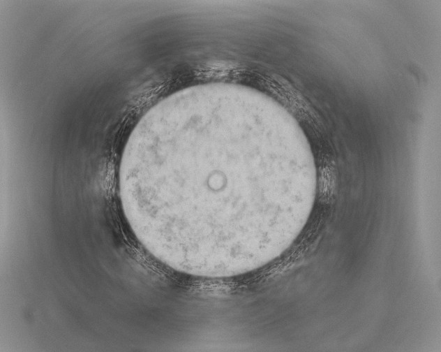 X0000115660820200912101050