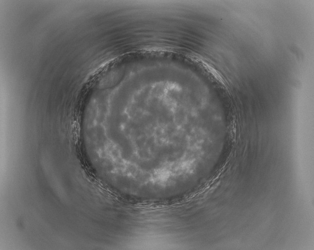 X0000115660821200912101050