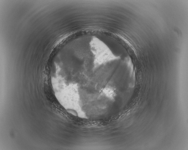 X0000115660823200912101050