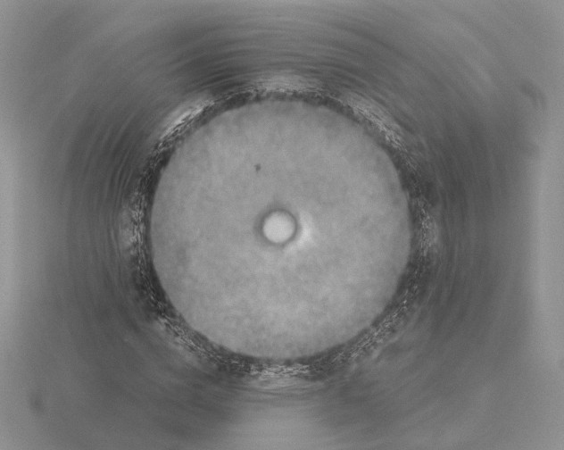 X0000115660824200912101050