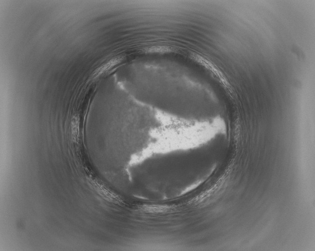 X0000115660825200912101050