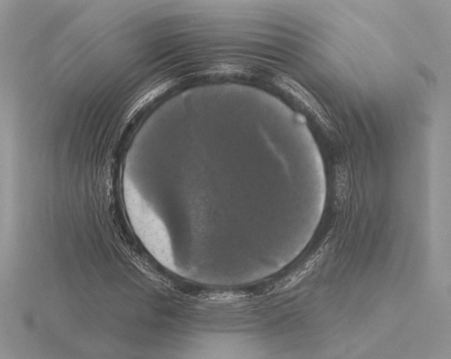 X0000115660826200912101050