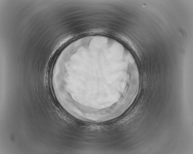 X0000115660827200912101050