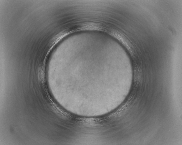 X0000115660828200912101050