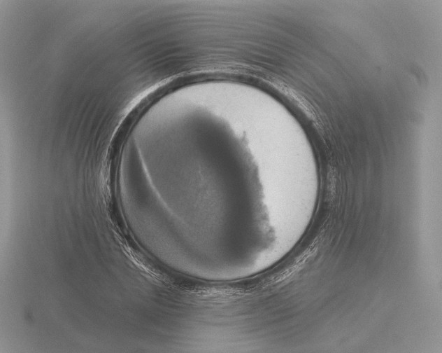 X0000115660830200912101050