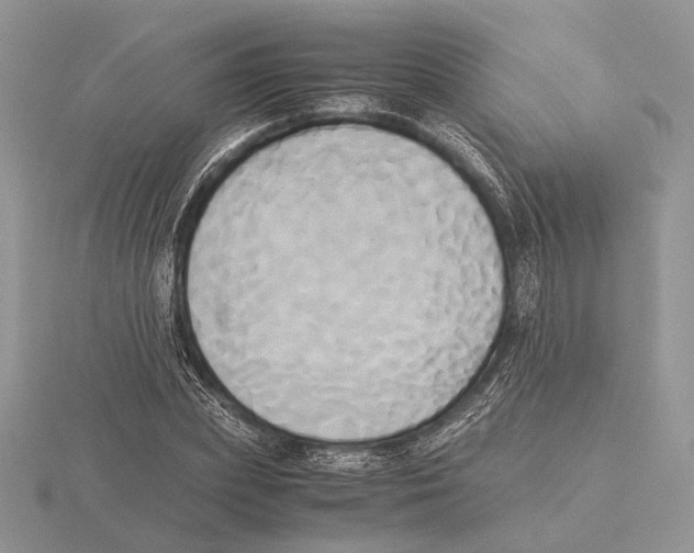 X0000115660831200912101050