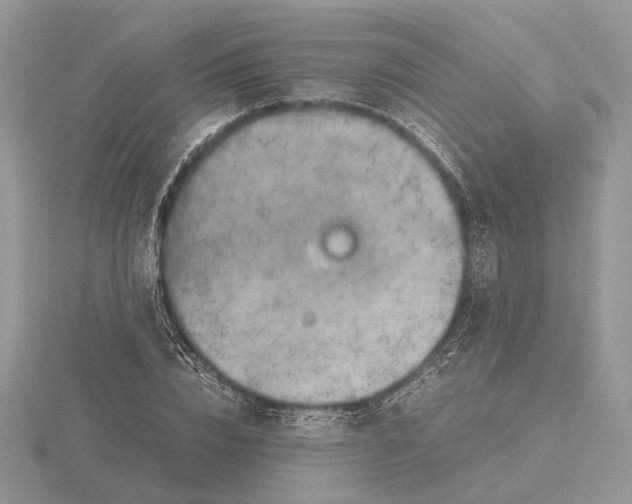 X0000115660832200912101050