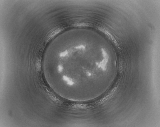 X0000115660833200912101050