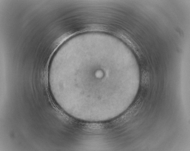 X0000115660836200912101050