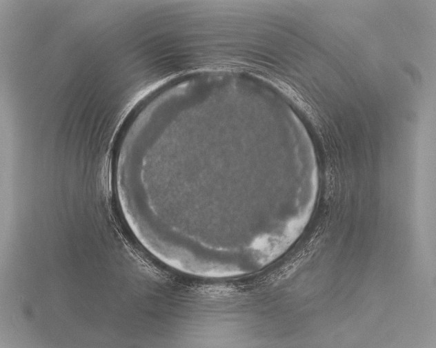 X0000115660838200912101050