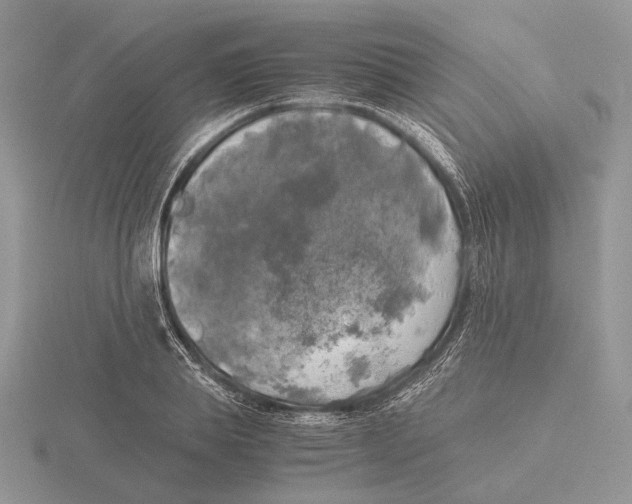 X0000115660839200912101050