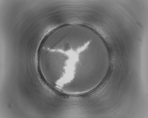 X0000115660840200912101050