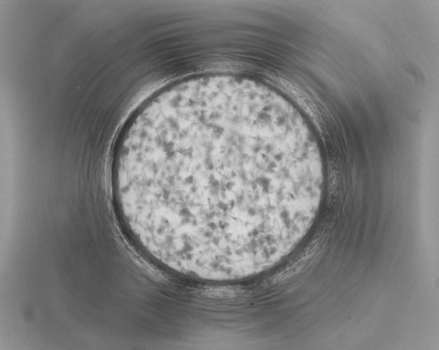 X0000115660843200912101050