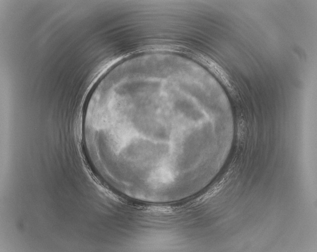 X0000115660844200912101050