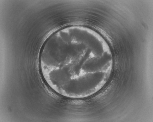 X0000115660845200912101050