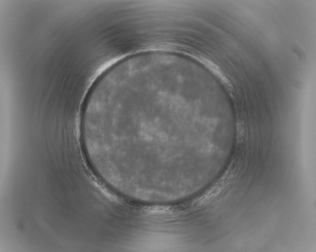 X0000115660846200912101050