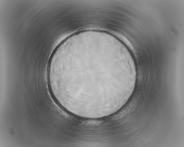 X0000115660847200912101050