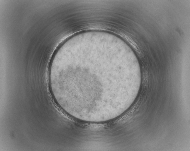 X0000115660848200912101050