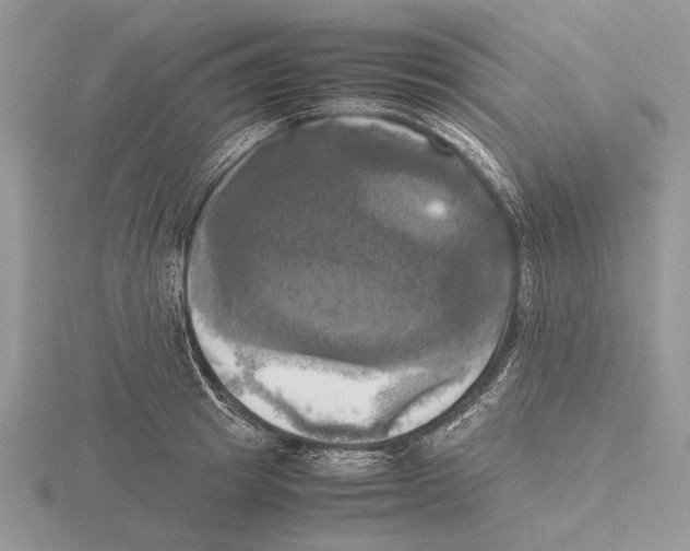 X0000115660849200912101050