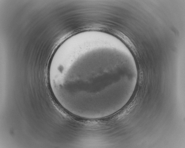 X0000115660850200912101050