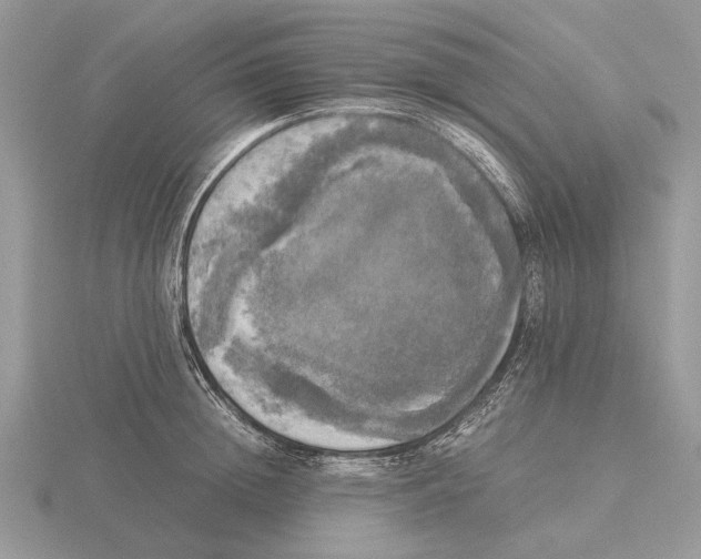 X0000115660852200912101050