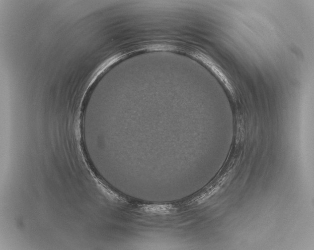 X0000115660853200912101050