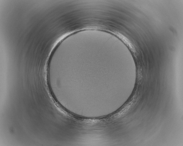 X0000115660854200912101050