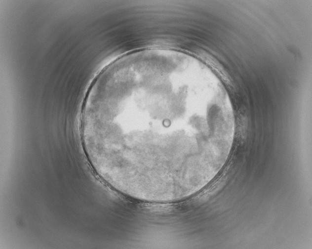 X0000115660856200912101050