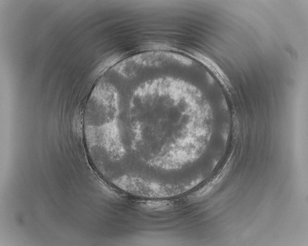 X0000115660857200912101050