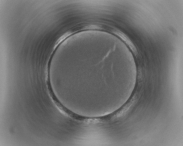 X0000115660858200912101050