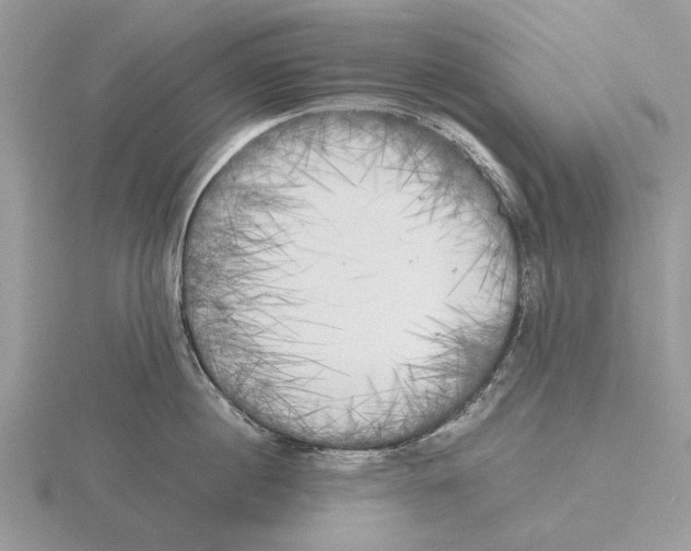 X0000115660860200912101050