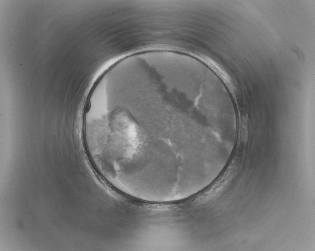 X0000115660862200912101050