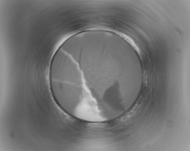 X0000115660863200912101050