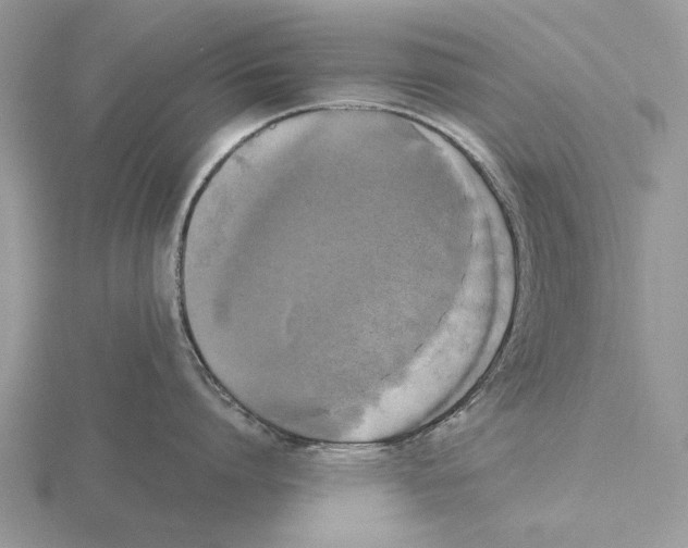 X0000115660864200912101050