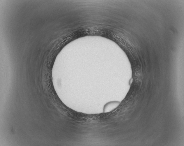 X0000115660865200912101049