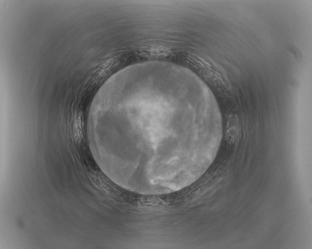 X0000115660866200912101049