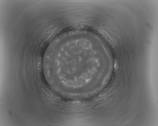 X0000115660867200912101049